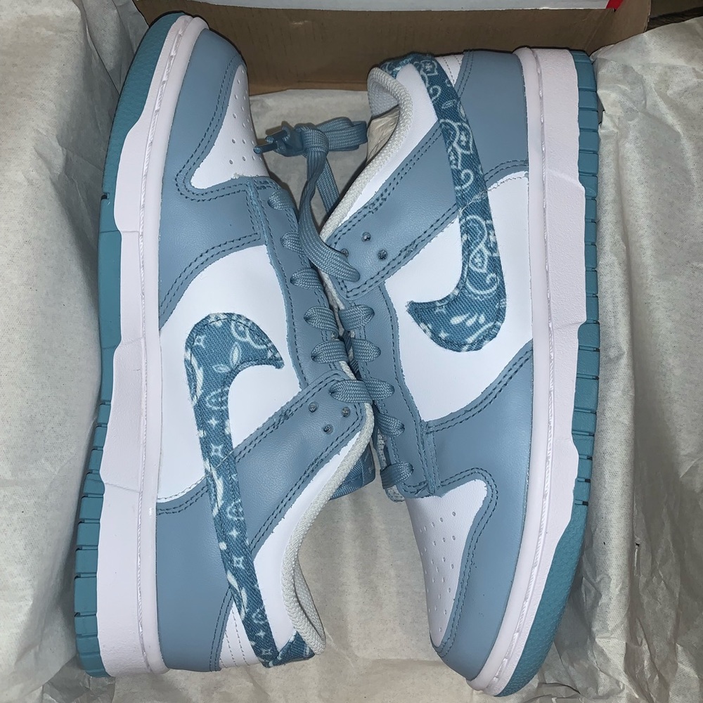 Nike Dunk Low Paisley Worn Blue